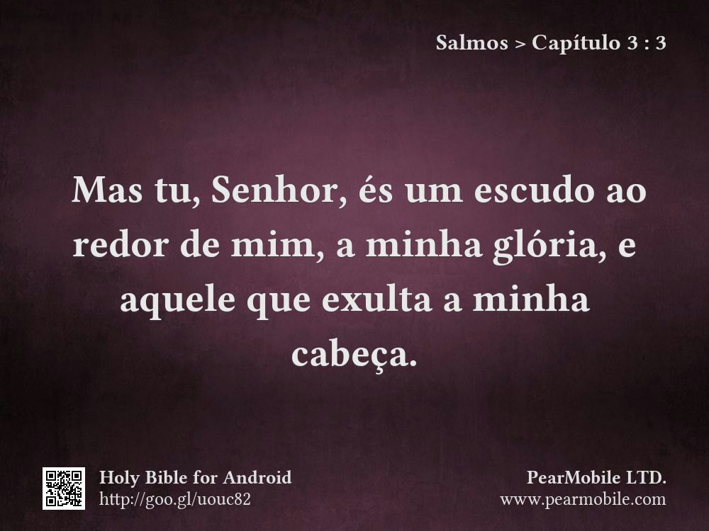 Salmos, Capítulo 3:3
